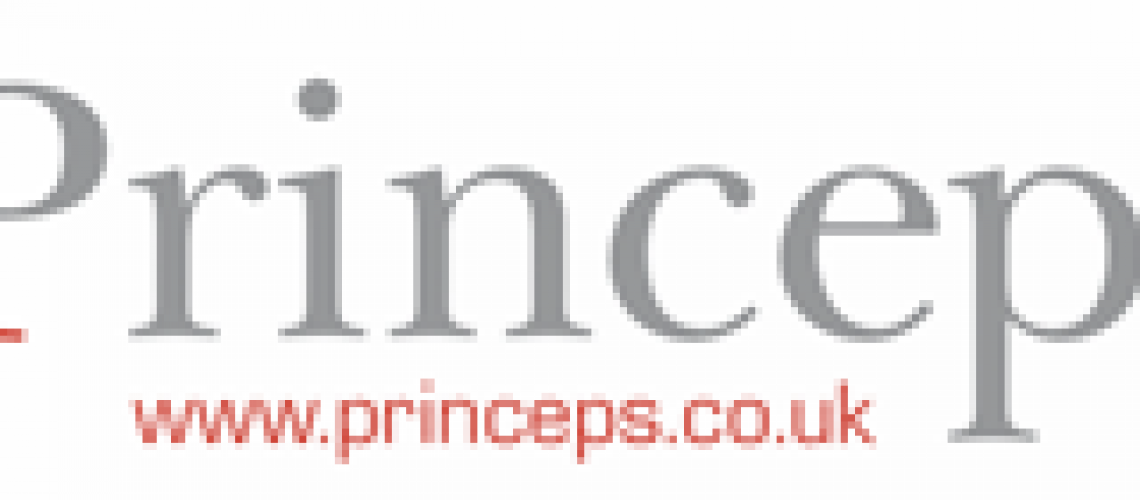 Princeps Electronics Limiited